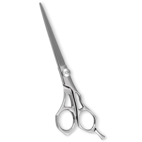 Professional Hair Cutting Scissors
